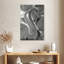 Flamants blancs-274684406