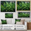 Fougères vertes émeraude I - décoration murale plantes-2111119078-2111119073