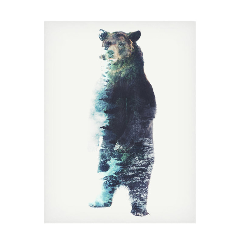 Art sur toile Barrett Biggers Misty Bear, H 14 po x l 19 po