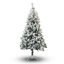 Pine Christmas Tree