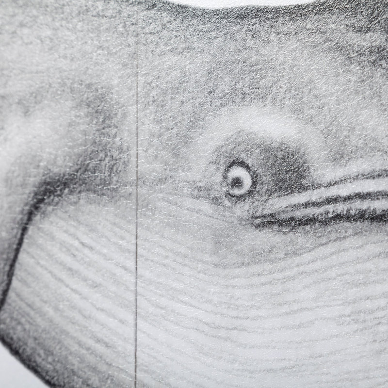 Baleine à bosse, reproduction d'art encadrée texturée à la main, 1, Baleine bleue