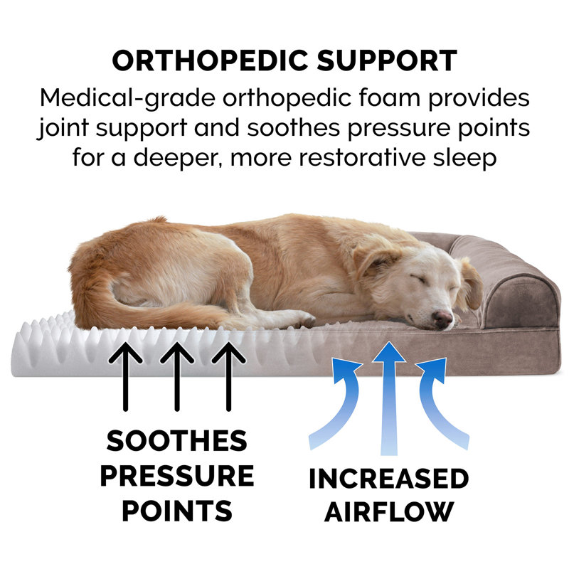 Driftwood Brown Large Orthopedic Foam Sofa Dog Bed