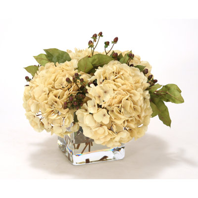Hortensias beige, baies hypercum brunes dans un vase carré en verre