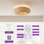 Ventilateur de plafond encastré en rotin 20 po Boho Coastal-2071502365-2071502339