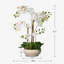 Silk Orchid Arrangement In Pot-823644236