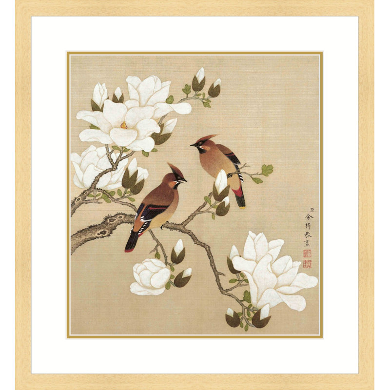Magnolia and Rosefinches by Yu Zhi - Single Picture Frame Print, Black, 17.5" H x 13.5" W x 0.94" D
