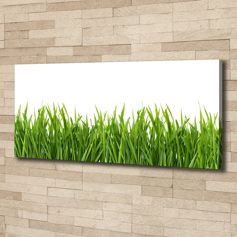 Grass - Wrapped Canvas Print