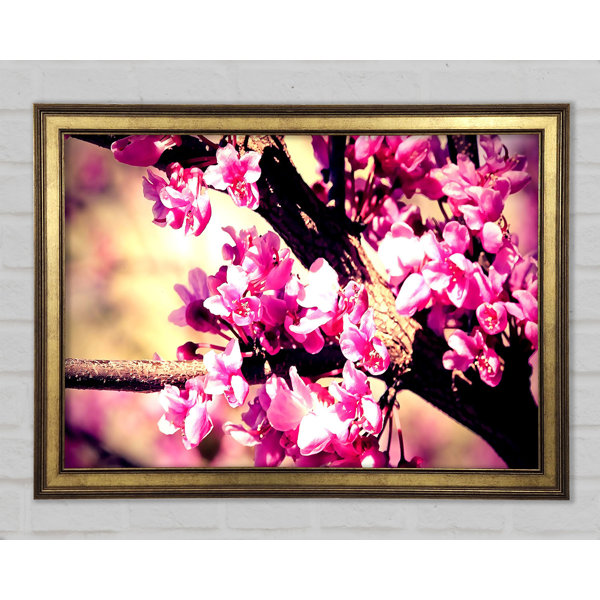 Ebern Designs Pink Blossom - Single Picture Frame Print | Wayfair.co.uk