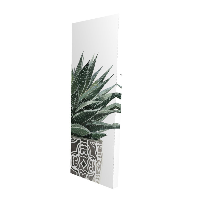 Plante grasse zèbre - Toile verte pour la maison, H 60 po x l 20 po