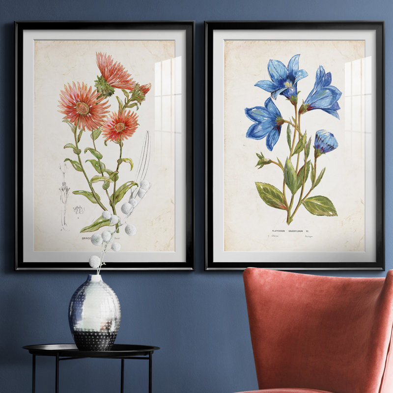 " Botanical I " 2 - Pieces, White, Black Framed Paper, 36.5" H x 26.5" W x 1" D