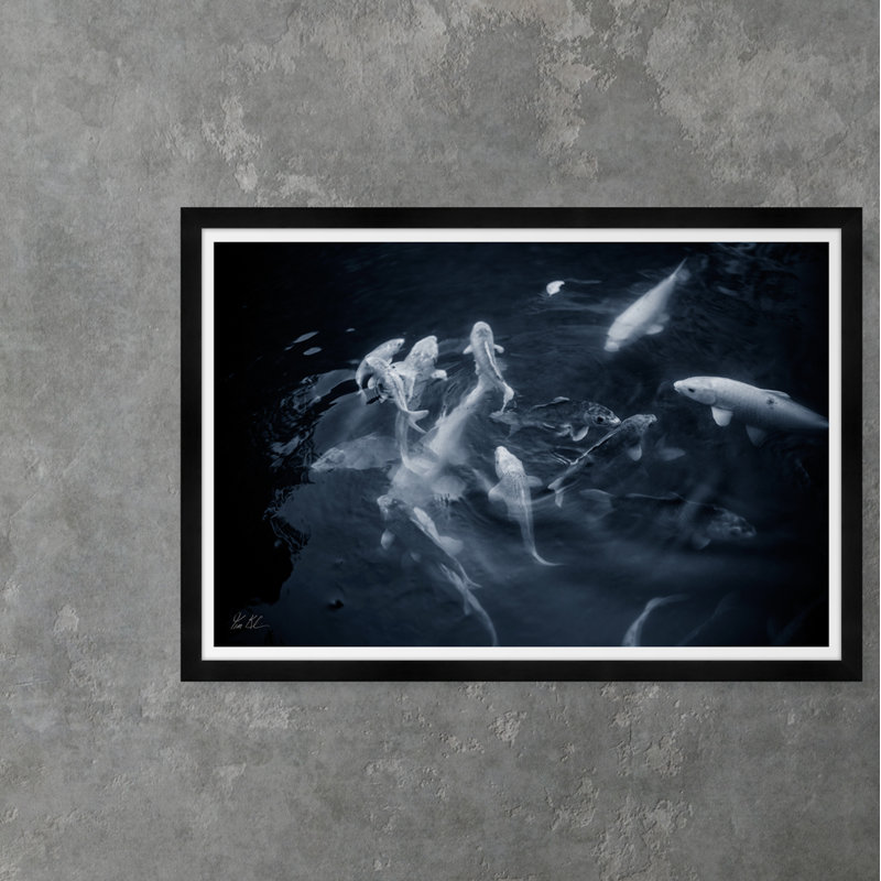 Coi Pond - Photographie avec cadre photo