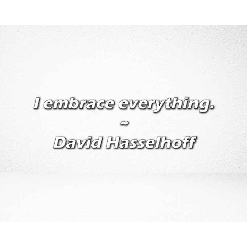 Citation de David Hasselhoff: J'embrasse tout.