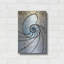 " Shell " by Rita Shimelfarb-1788235264