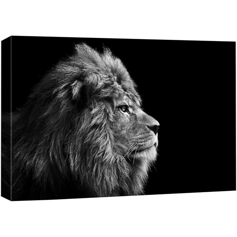 «A Lion On Balck» sur toile