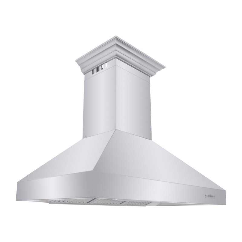 48" Professional Ducted Wall Mount Range Hood in Stainless Steel