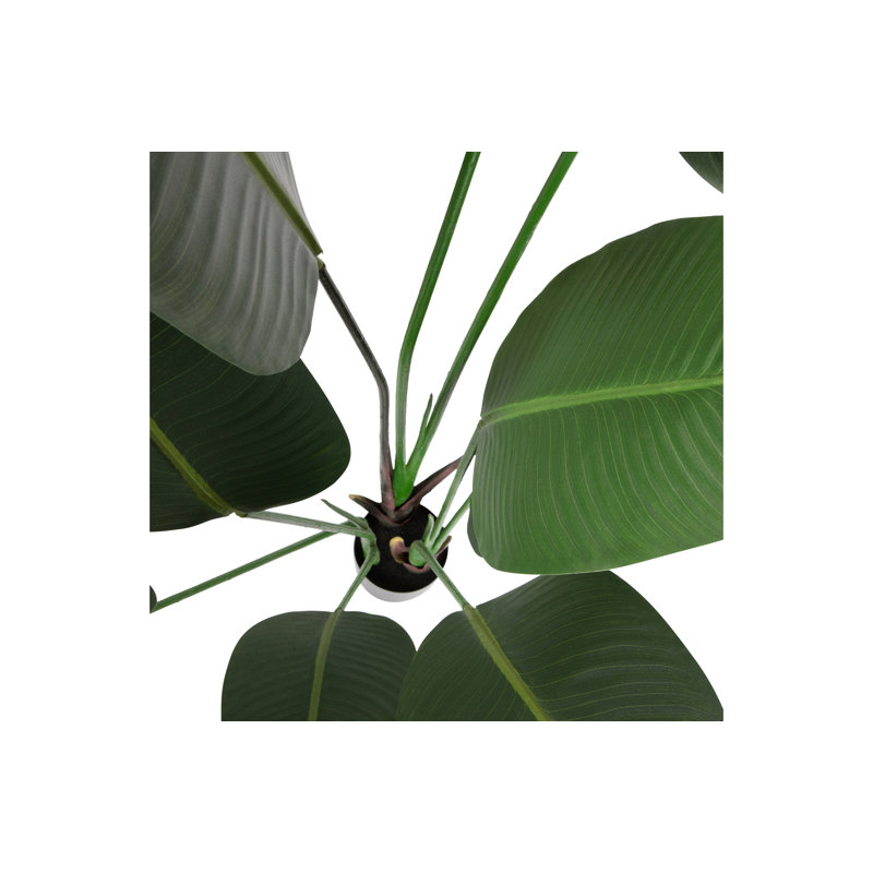 164cm Faux Strelitzia Plant in Planter