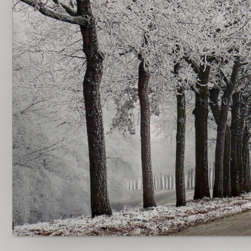 Photographie sur toile tendue, H 20 po x l 40 po x P 1,5 po