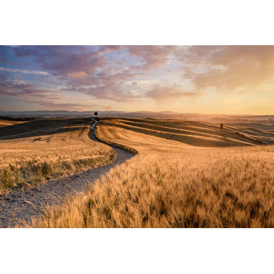 Tuscany Landscape At Sunset by Gehringj - Wrapped Canvas Print