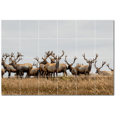 Cerf photo 8 x 8