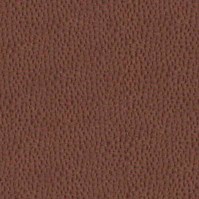 Pinwheel Fabric
