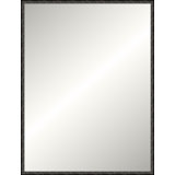 Adelaide Mirror