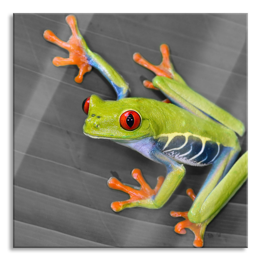 Glasbild Kleiner Frosch auf einem Blatt