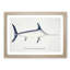 Illustration of a Swordfish by F.E. Clarke - Picture Frame Graphic Art Print-55579611-55579610