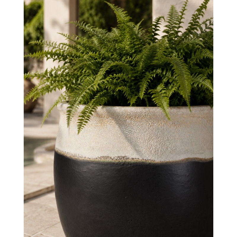 Pot de fleurs Tarsus de 58 cm (23 po) - Lave blanche sur charbon, 24" H x 23" W X 23" D, black/cream
