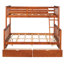 Lit superposé simple en noyer pour une configuration de chambre polyvalente avec options de rangement, élégant-31865351