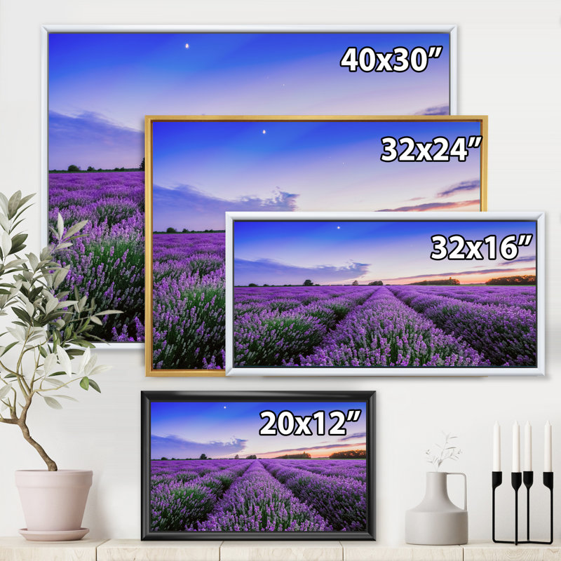 Sunrise & Dramatic Clouds Over Lavender Field II - reproduction de cadre flottant sur toile, H 30 po x l 40 po x 1,5 po