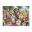 « goofy chatons », reproduction d’impression sur toile tendue-26854502