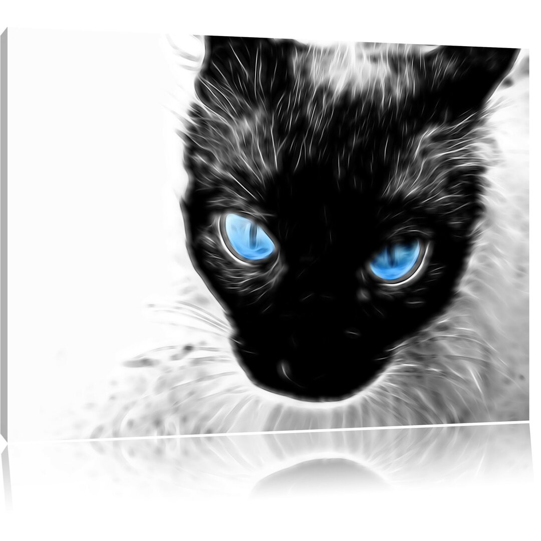 Leinwandbild Blaue Augen schwarze Katze