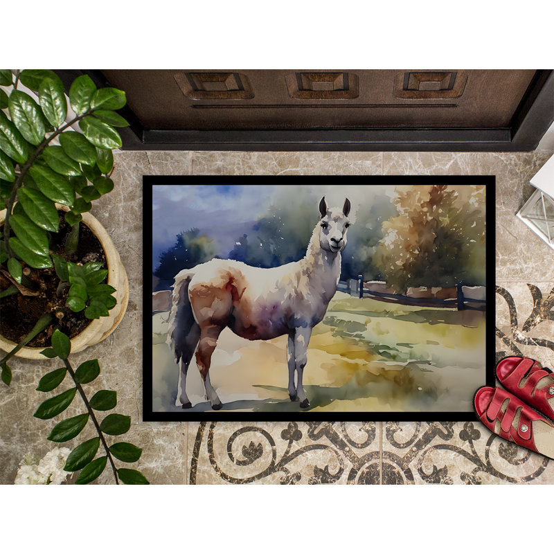 Lureatha Non-Slip Doormat, l 24 po x L 36 po