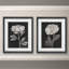 Fleurs noires et blanches III - ensemble de 2 reproductions d'art sur papier encadré