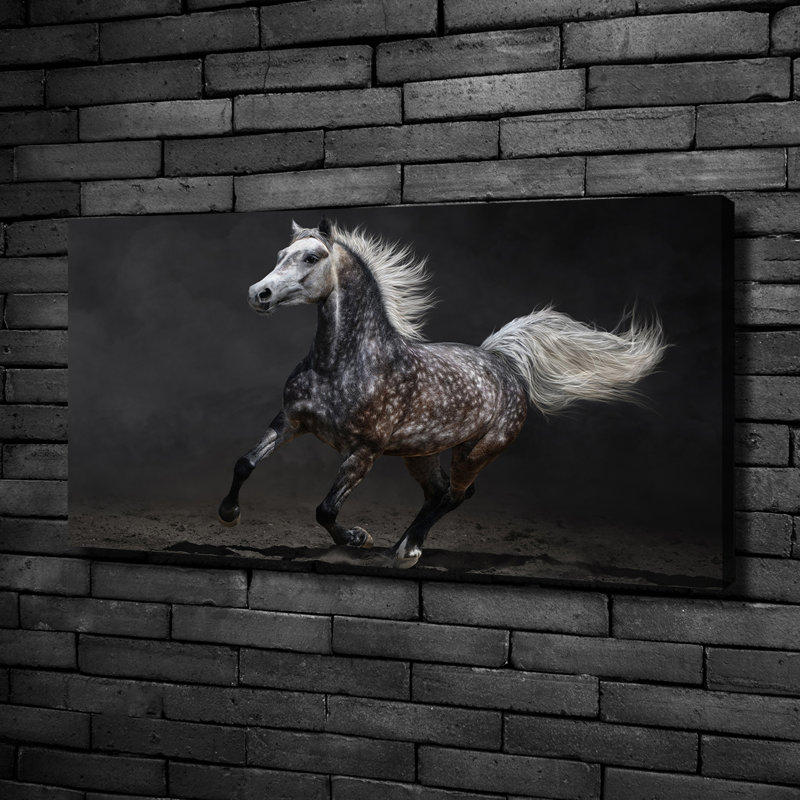 Gray Arabian Horse - No Frame Print on Canvas, No Frame, 50cm H x 100cm W