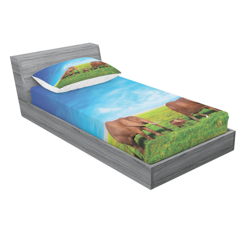 Microfiber Sheet Set, Twin XL Sheet Set with Fitted Sheet