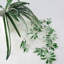 62 cm H Faux Plant