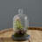 Sydnee 18cm Succulent in Cement Terrarium