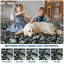Tapis lavable à la machine Botanical Flora-1577991211