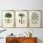 Arbre antique avec fruit - impression encadrée sur mesure de qualité supérieure matte - 3 pièces-6369811