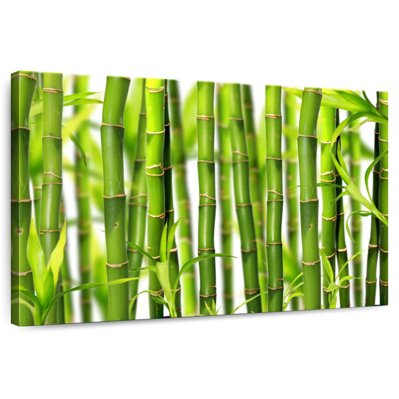 Harnek Green Bamboo Grove, 26" H x 39" W