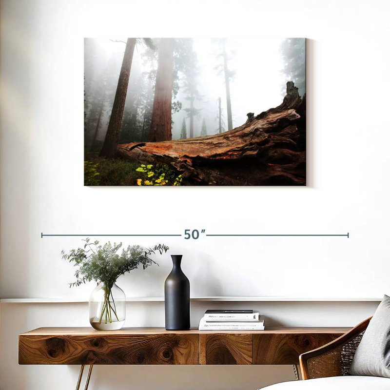 Harnek Fallen Sequoia Tree, 24'' H x 36'' W