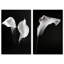 Calla Lily Set Set by Oliver Gal-715087363-715087367