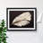 Bird Feather - Single Picture Frame Print-213021706-213021707