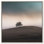 "Lone Tree II", reproduction d'art sur toile encadrée par Art Remedy, cadre argenté, 40 x 40