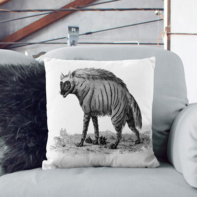 Square Cushion
