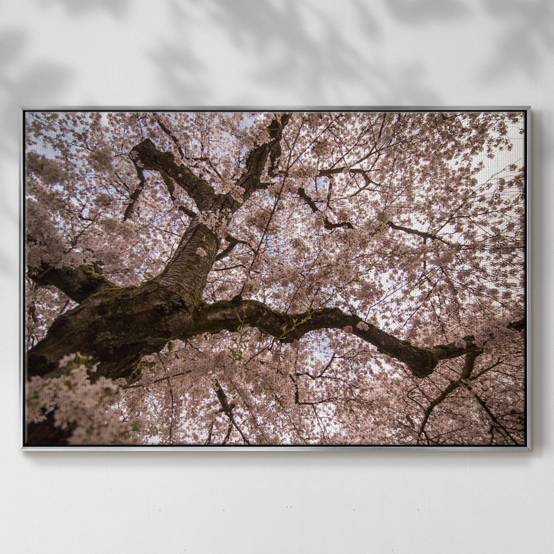 "Spring's arrive", reproduction sur toile, H 17 po x l 25 po x P 2 po, Argent