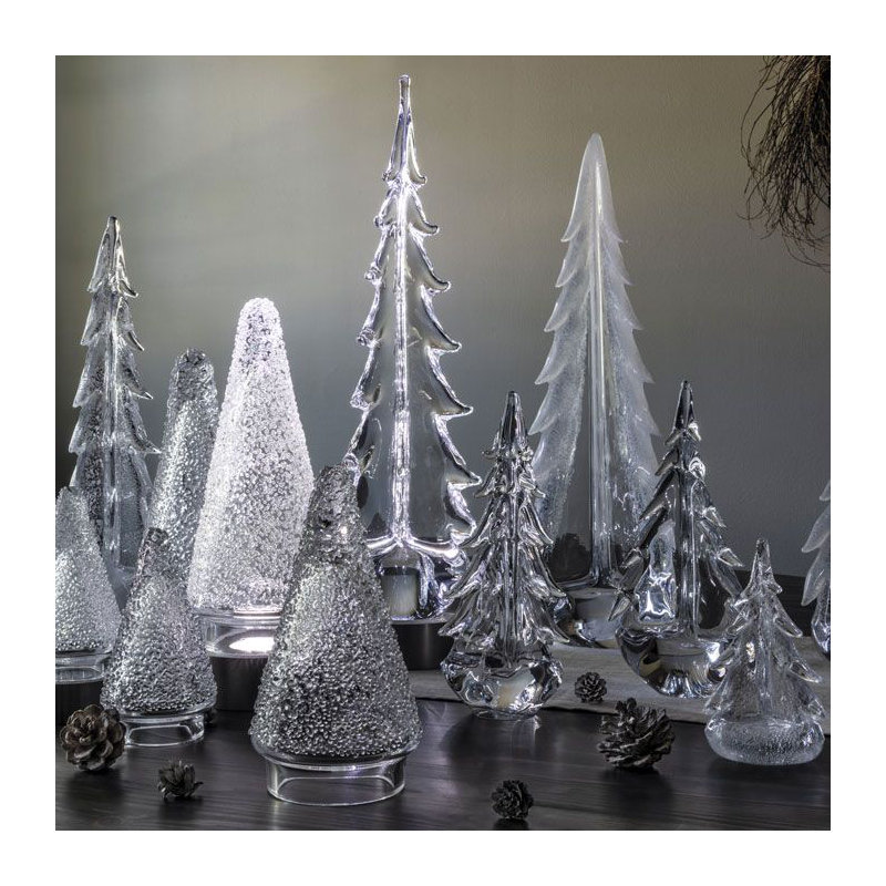 Silver Leaf Evergreen, 6 inch