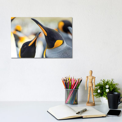 King Penguin On Falkland Islands. by Martin Zwick - Wrapped Canvas Print
