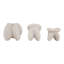 Sculptures modernes en coquille de résine pour la décoration intérieure - Statue de bord de mer, objets décoratifs pour la décoration de salon - ensemble de 3, 6 ", 5", 4 ", blanc